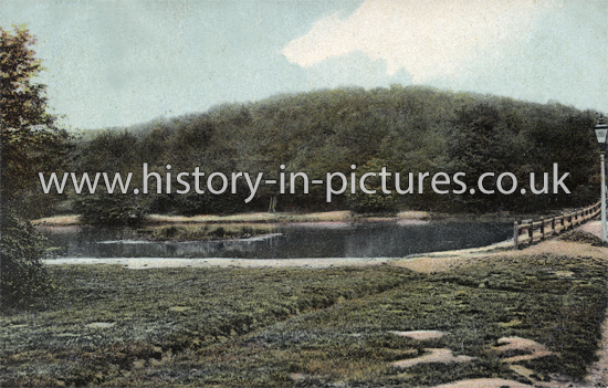 Staples Pond, Epping Forest, Near Loughton. Essex. c.1905